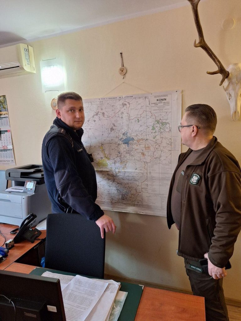 Świąteczna piękna choinka, ale tylko z legalnego źródła!