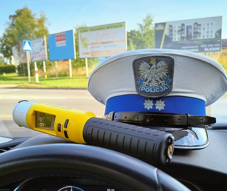 Ogólnopolskie działania „Truck & Bus” – kontrole na drogach