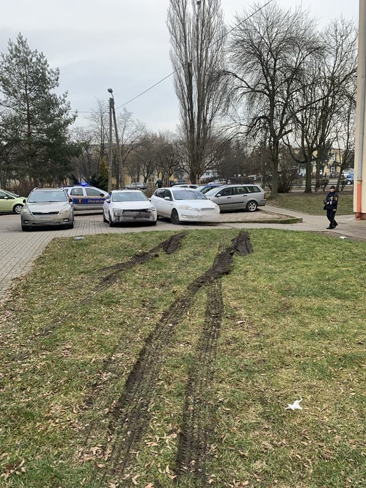 Parkowanie na pasach zieleni – surowe konsekwencje i zagrożenia dla środowiska