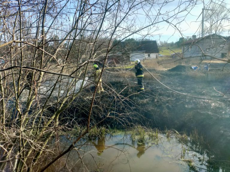 Pożary Traw w Gminie Krzymów: Zagrożenie dla Środowiska i Konsekwencje Prawne