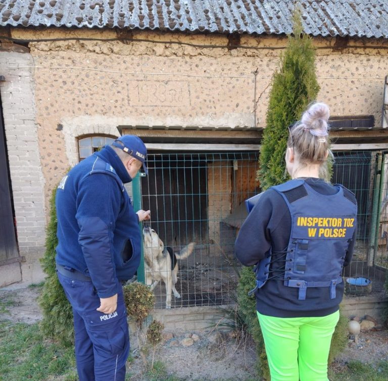 Kontrola warunków utrzymania zwierząt w gminie Kramsk – wspólne działania policji i TOZ