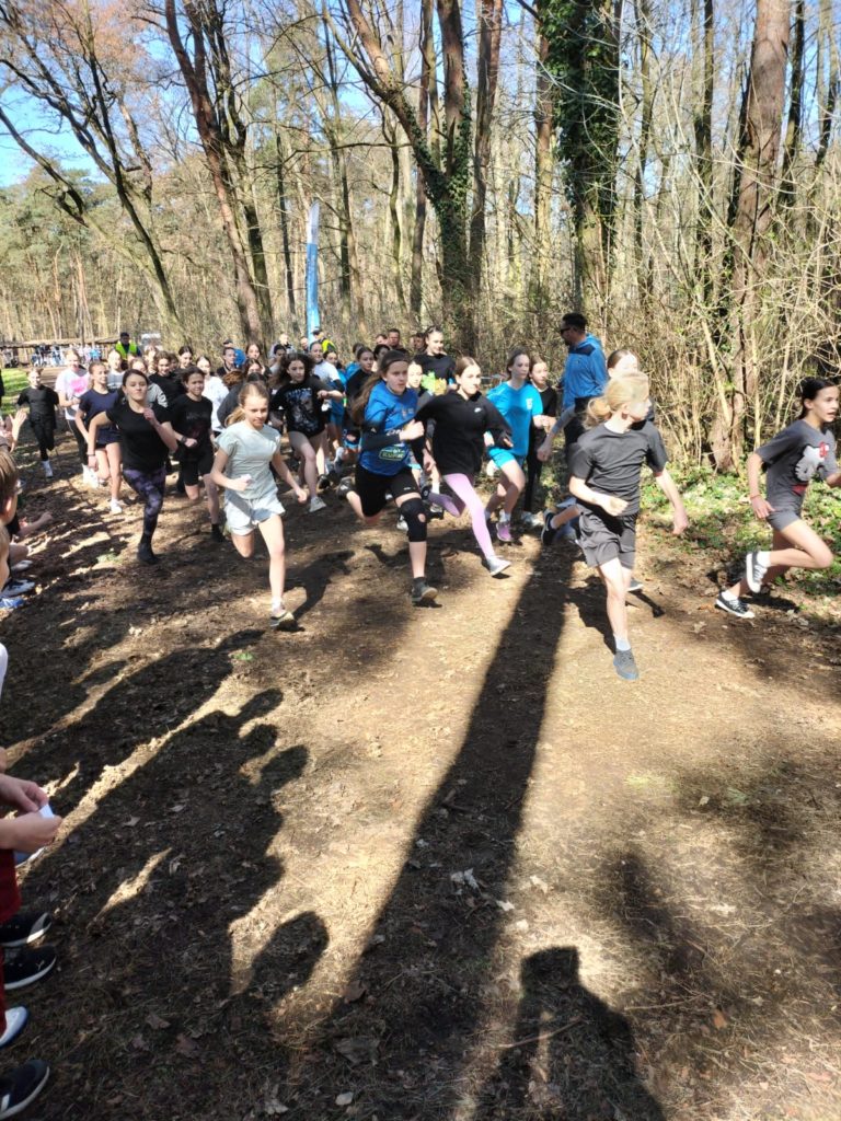 Najlepsze drużyny szkolne w biegach przełajowych wyłonione