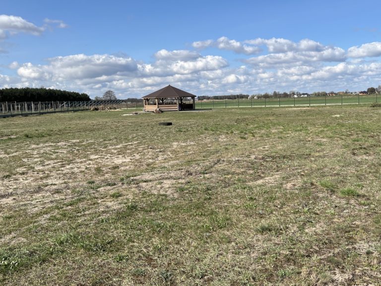 DROGA I DRZEWA MIODODAJNE