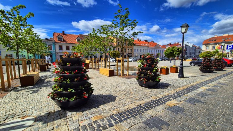 Kwiatowy akcent na Placu Wolności. Rozpoczęto wiosenne nasadzenia w centrum Konina