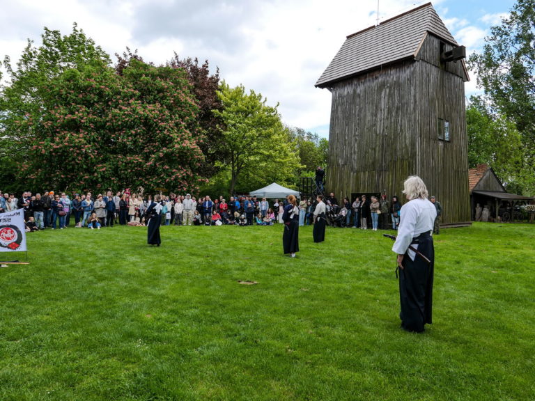 Hana Matsuri – japońska kultura w sercu Gosławic