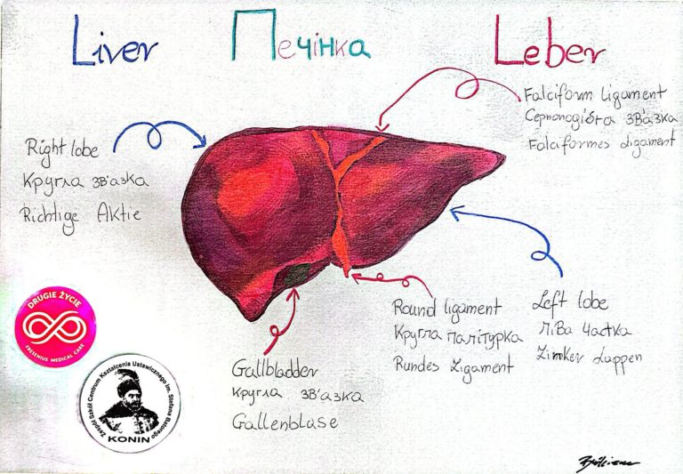 Uczennice z Konina promują ideę transplantologii. Prace plastyczne i opisy w trzech językach