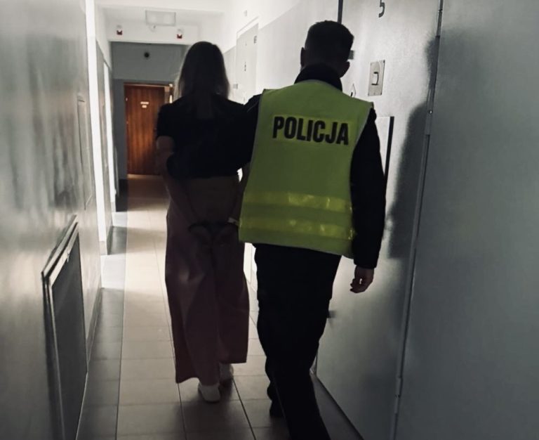 Nietrzeźwa matka przewoziła dziecko. Miała ponad 2,6 promila alkoholu