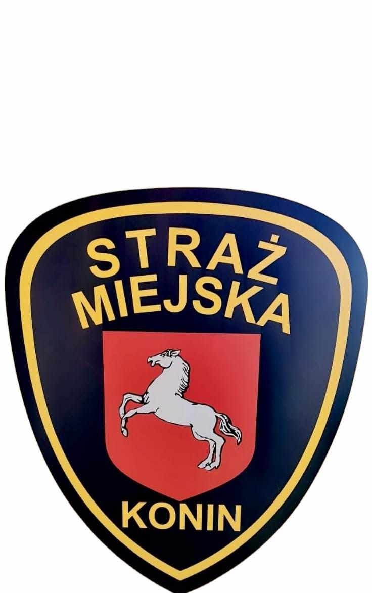 Straż Miejska interweniowała w sprawie nieprawidłowego parkowania, otwartych studzienek i zwierząt bez opieki – podsumowanie z 18 czerwca 2025 r.