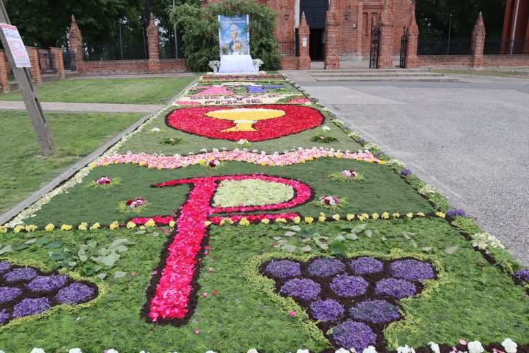 Krzymowska tradycja zachwyca kolorami – kwietne dywany na Boże Ciało znów olśniły wiernych i gości