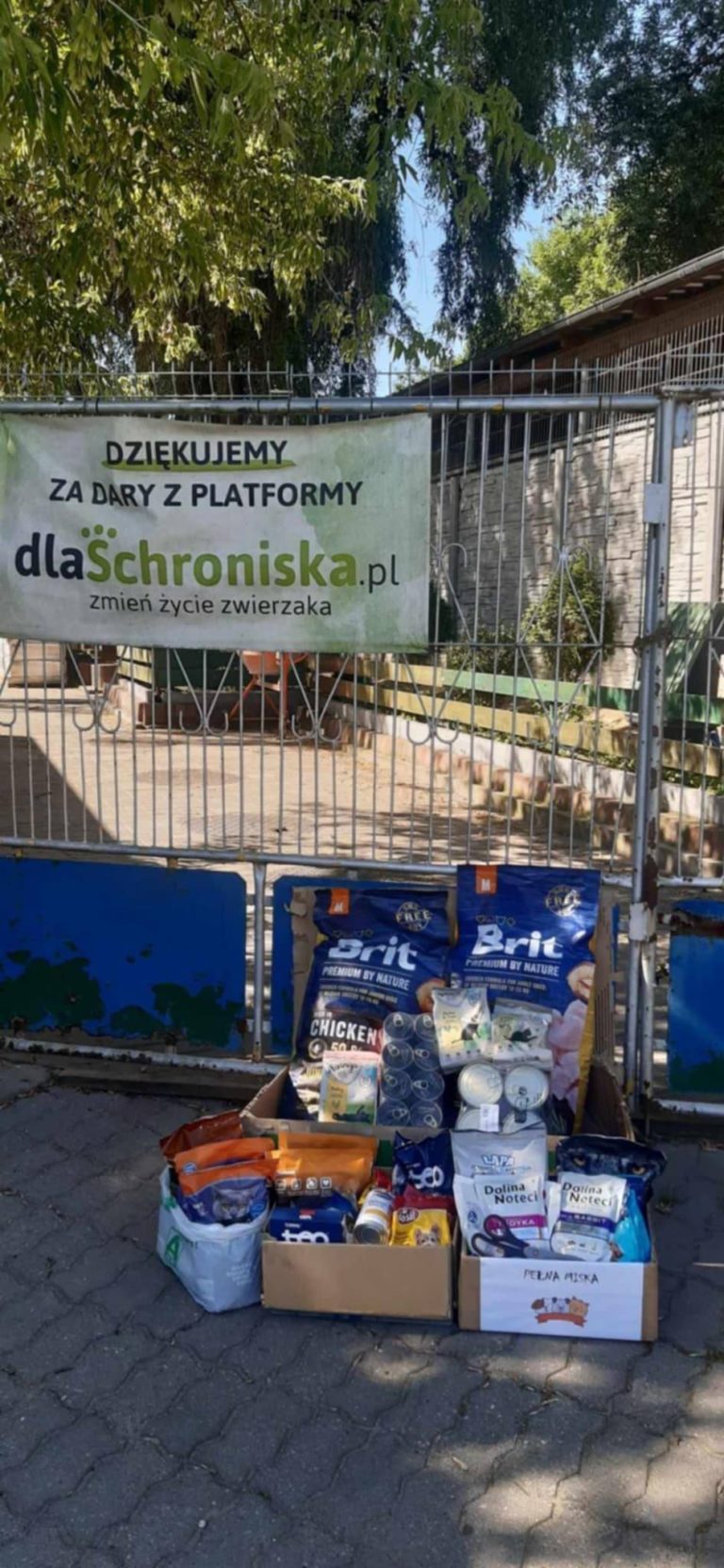 „Pełna miska” – finał XVII edycji szkolnej akcji charytatywnej w Koninie