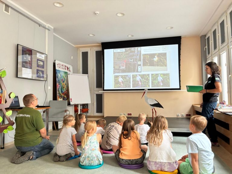 Bocian jako bohater literacki i przyrodniczy. Wakacyjne zajęcia inspirowane Reymontem