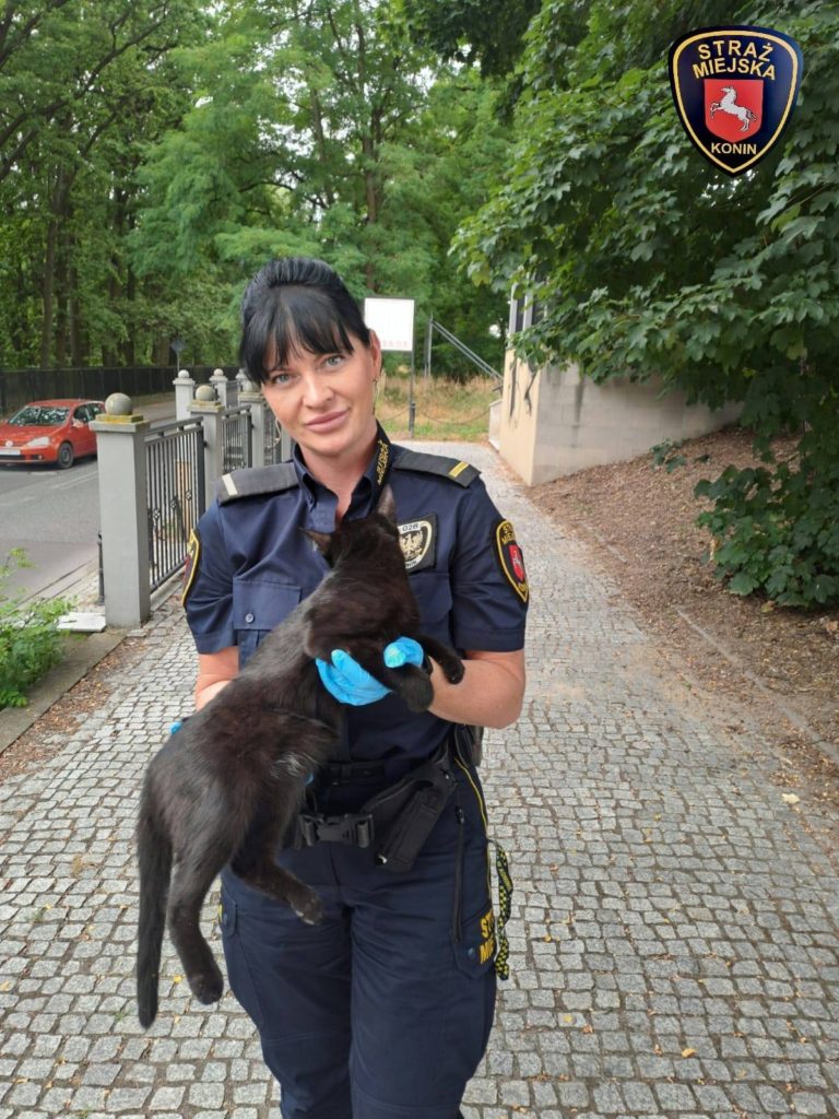 Straż Miejska w Koninie po raz kolejny ruszyła z pomocą rannemu zwierzęciu