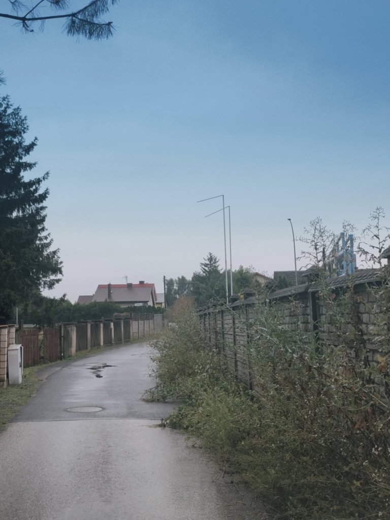 LETNIE PORZĄDKI NA CHODNIKACH TO OBOWIĄZEK WŁAŚCICIELI NIERUCHOMOŚCI