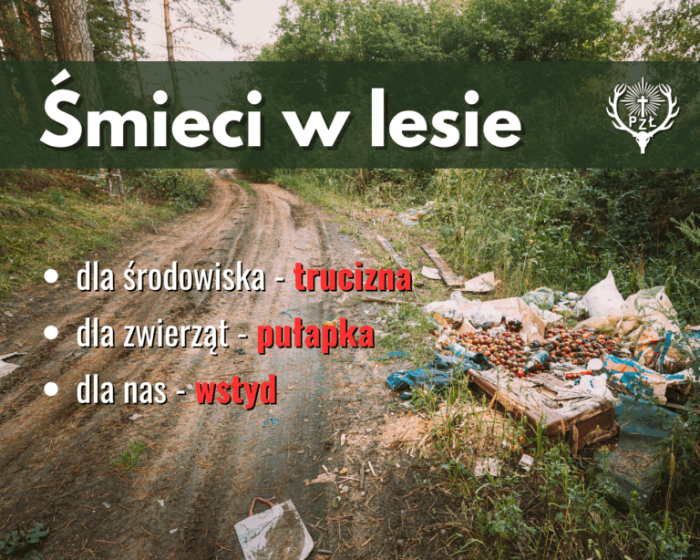 ZWIERZĘTA NIE ŚMIECĄ. LUDZIE – TAK! DLACZEGO ŚMIECI W LESIE TO ZAGROŻENIE?