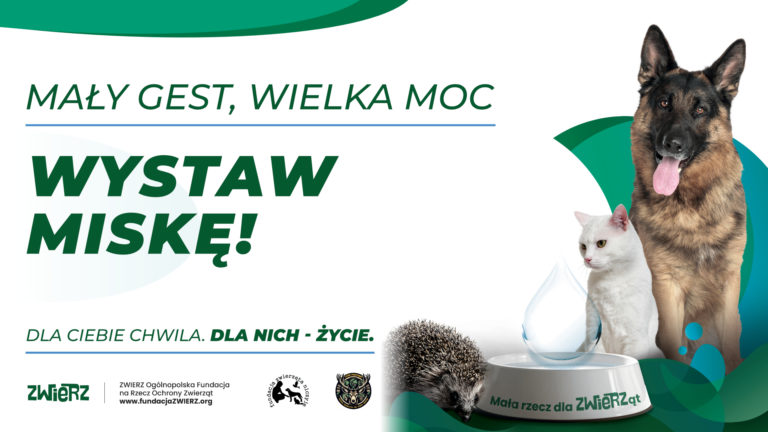 Prosty gest a ogromna pomoc – pamiętajmy o wodzie dla zwierząt podczas upałów latem!