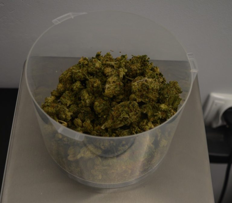 3 MIESIĄCE ARESZTU DLA KIERUJĄCEGO HULAJNOGĄ ELEKTRYCZNĄ