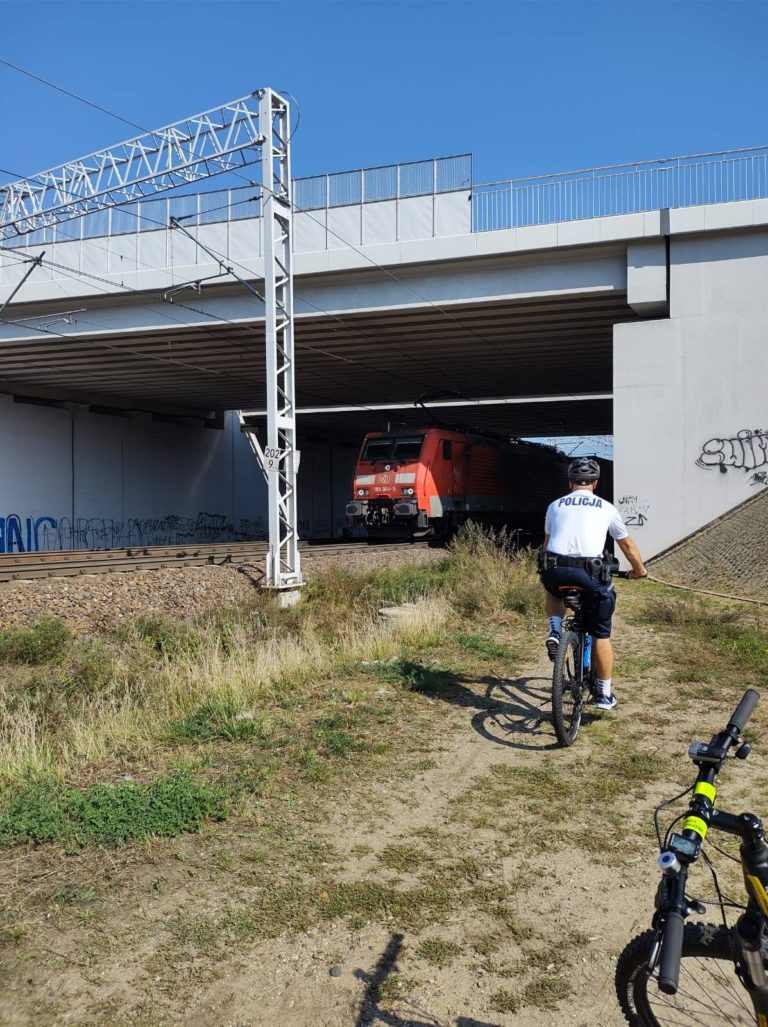 DZIELNICOWI – KONTROLE DLA BEZPIECZEŃSTWA MIESZKAŃCÓW