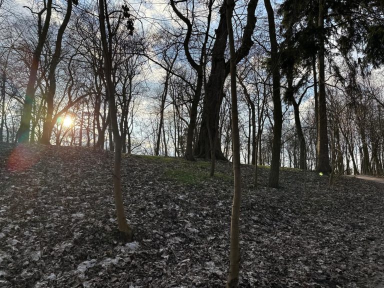 POLICJA PRZYPOMINA O ZASADACH BEZPIECZNEGO GRZYBOBRANIA