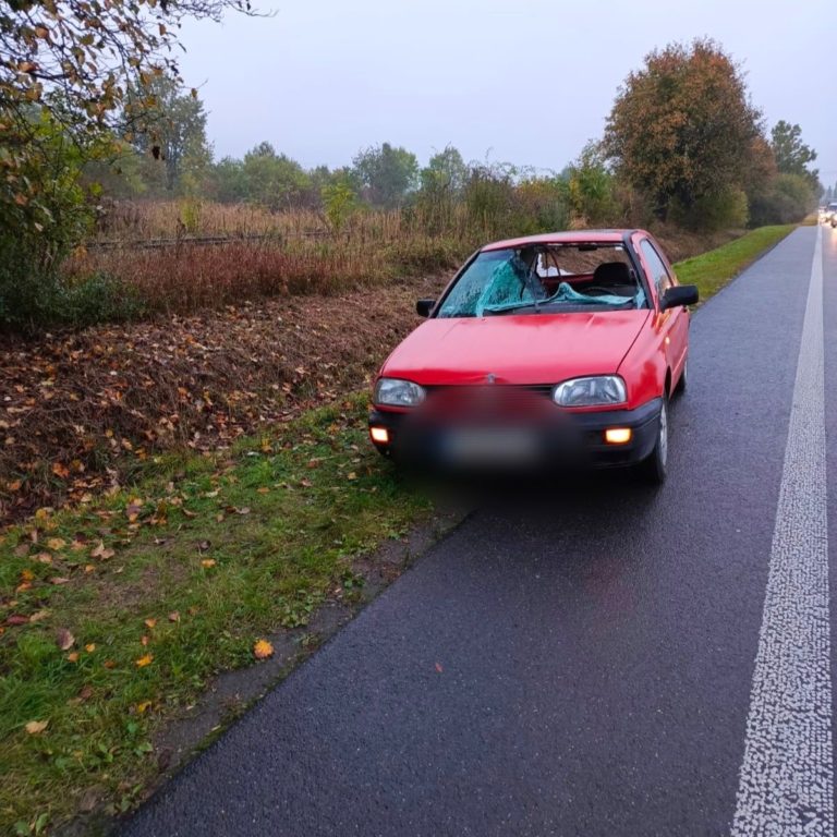 Niebezpieczne zderzenie z sarną – apel policji o ostrożność na drogach