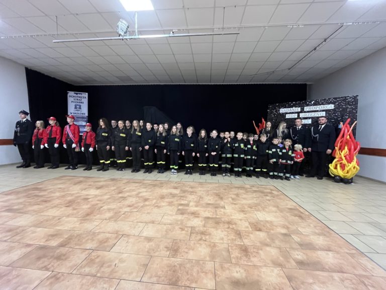 Młodzieżowa Drużyna Pożarnicza w Brzeźnie ma własny proporzec