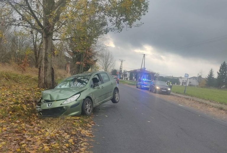 Nietrzeźwy kierowca zakończył jazdę w rowie