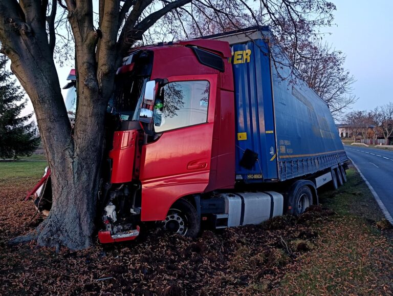 Zdarzenie drogowe w Lisewie – kierowca ciężarówki uderzył w drzewo