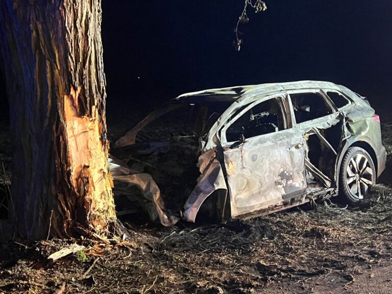 Dramat o poranku. 27-letnia kobieta zginęła, auto elektryczne spłonęło doszczętnie