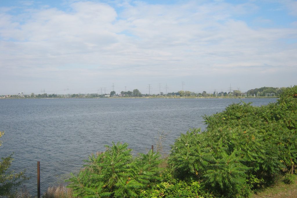 Jezioro Gosławickie Park Andrzeja Łaskarza