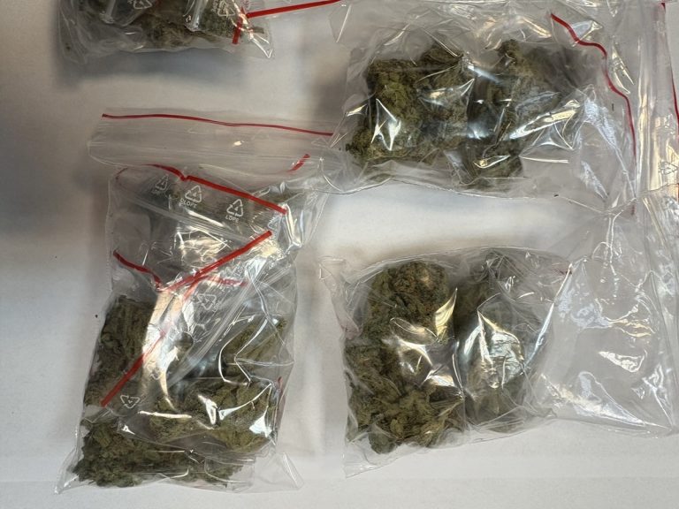 Skuteczna akcja kryminalnych z Koła. Małżeństwo i ich wspólnik trafili za kraty