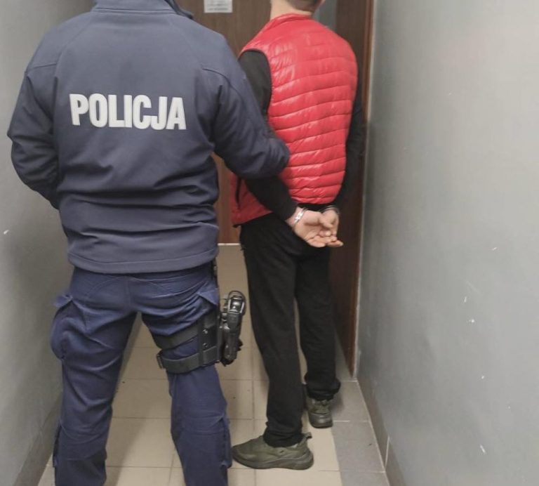 Rutynowa kontrola zakończona zatrzymaniem