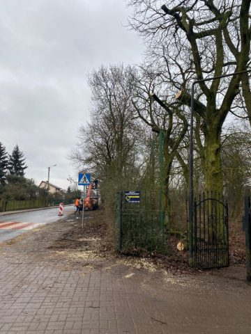 porządki w parku_02 (3)