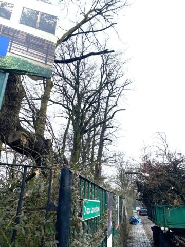 porządki w parku_02 (4)