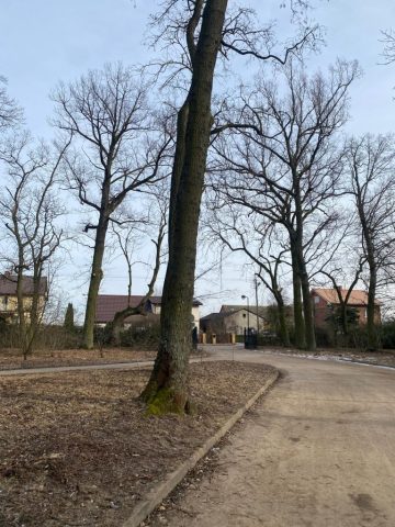 porządki w parku_02 (5)