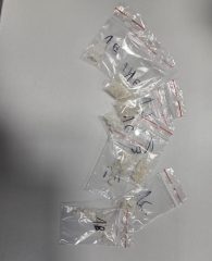 644515906_1386598063504347_450944311782337418_n