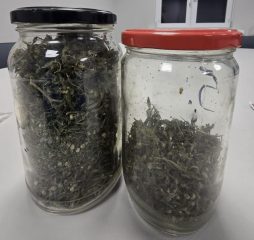 645282025_1386598076837679_6791716126993266393_n