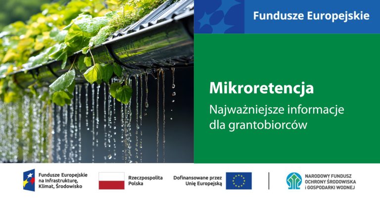 Mikroretencja 2026. Nawet 8 tys. zł na zbieranie deszczówki – sprawdź najważniejsze informacje