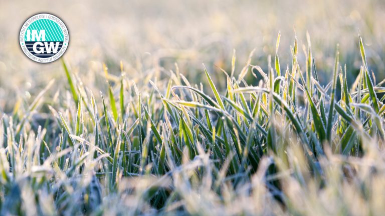 Przymrozki w regionie konińskim – ostrzeżenie IMGW 1 kwietnia 2026