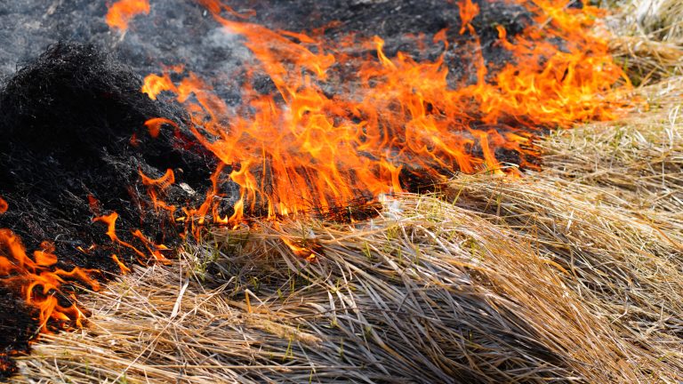 Wypalanie traw jest nielegalne i niebezpieczne. Grożą za to poważne konsekwencje