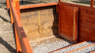 ogrod-glebowy-uam-5-scaled