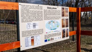 ogrod-glebowy-uam-6-scaled