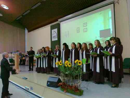 W poszukiwaniu przyjaciół