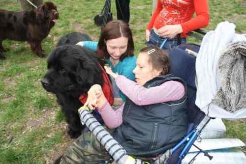Powiat koniński przyjazny niepełnosprawnym