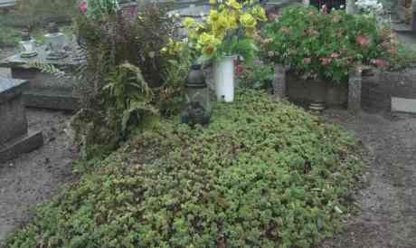 Biskup o dzisiejszych uroczystościach