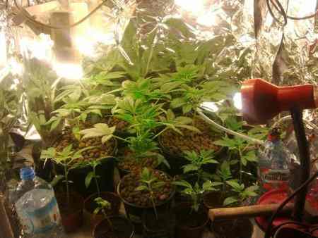 CBŚ zlikwidowało magazyny nielegalnych używek