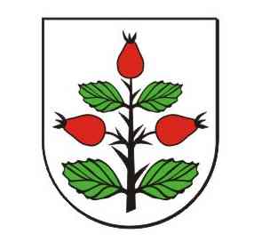 Samorządowa gala w Rzgowie