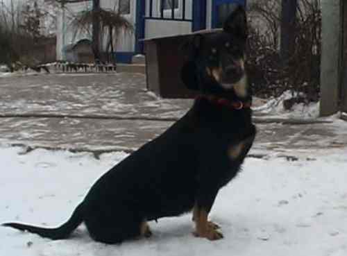 W oczekiwaniu na dokumentację