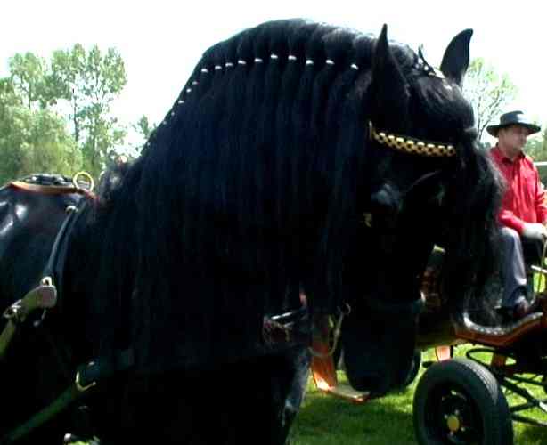 Impreza się rozwija