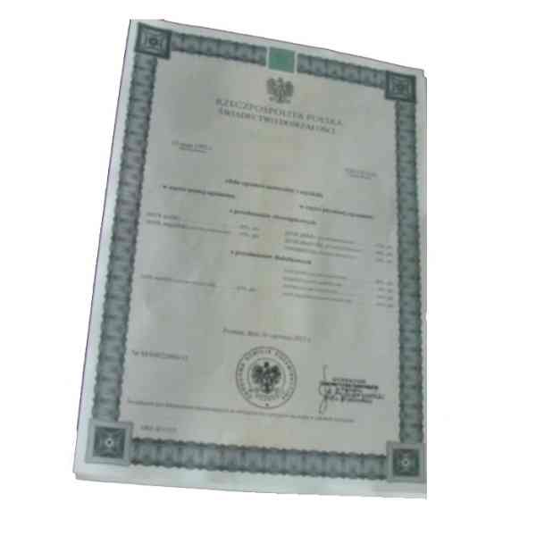 Wstępne wyniki matur