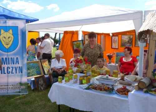 Gminy ruszą na Wilczyn