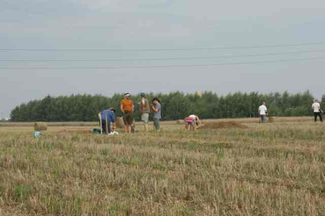 ’Co jeszcze wykopią?’